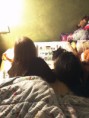 /album/fotogaleria/img323-jpg/